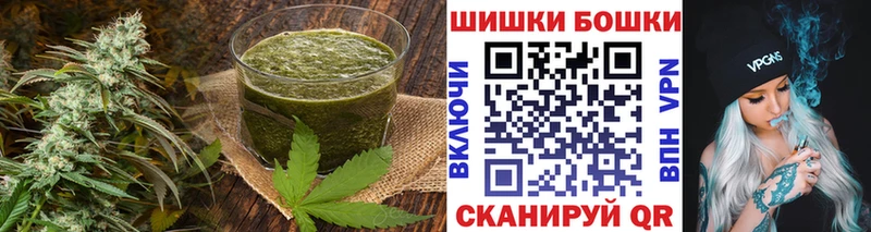 закладка  Грязовец  Cannafood конопля 