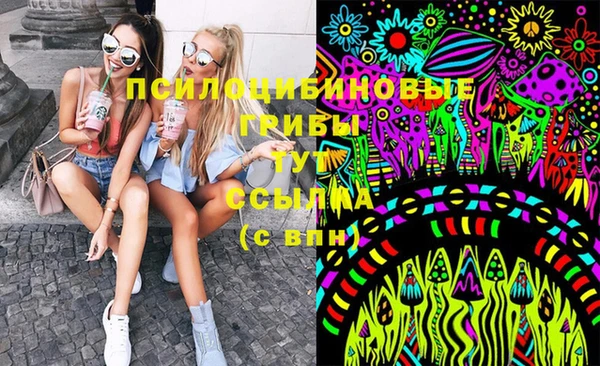 стаф Горнозаводск