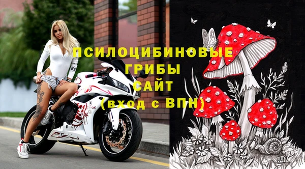 дурь Горно-Алтайск