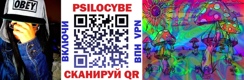 Псилоцибиновые грибы GOLDEN TEACHER  Грязовец 